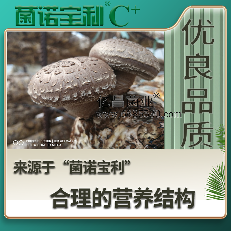 亿昌菌业菌诺宝利C+：注水C+（网页版）PC-4（优良品质，来自于“菌诺宝利”合理的营养结构）.png