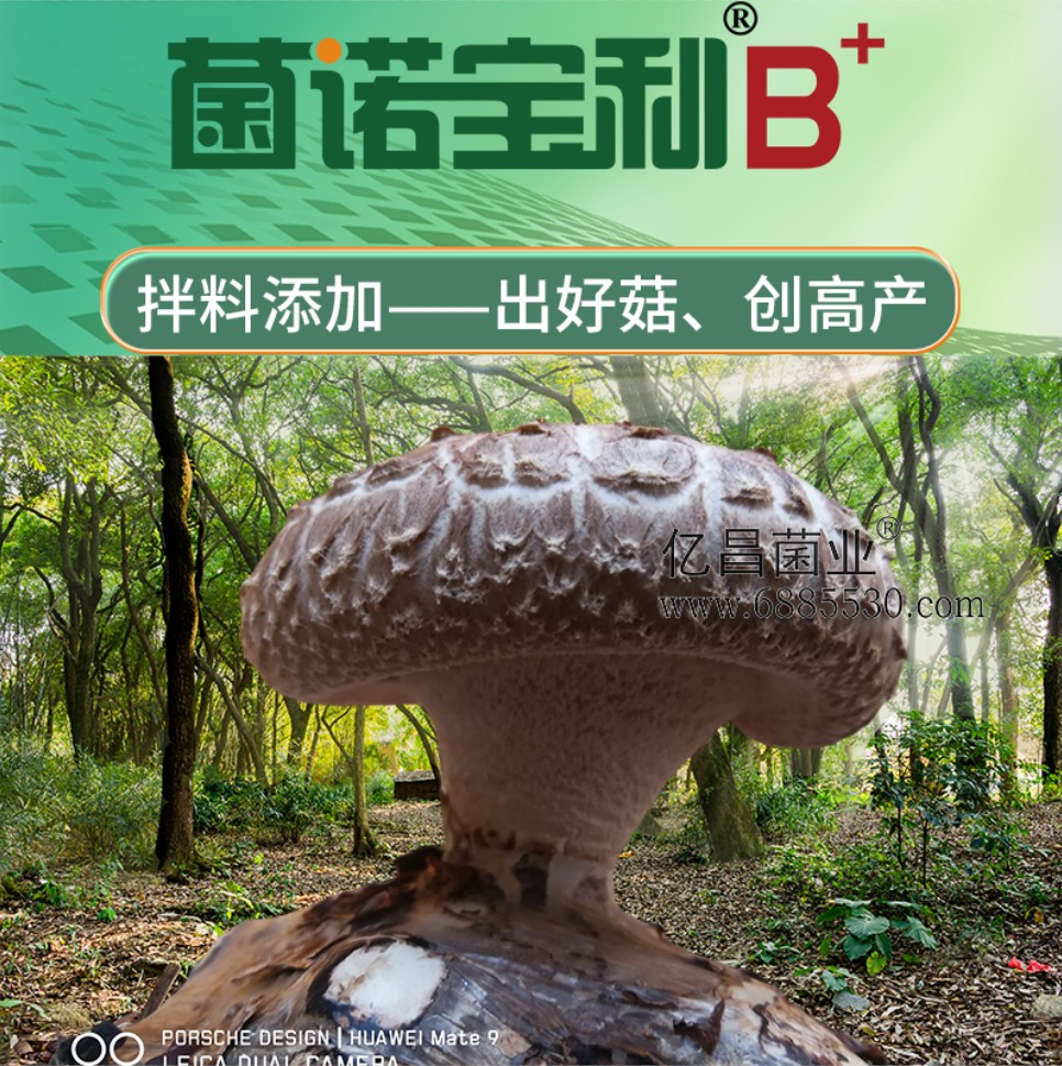 亿昌菌业菌诺宝利B+（网页-1）出好菇、创高产