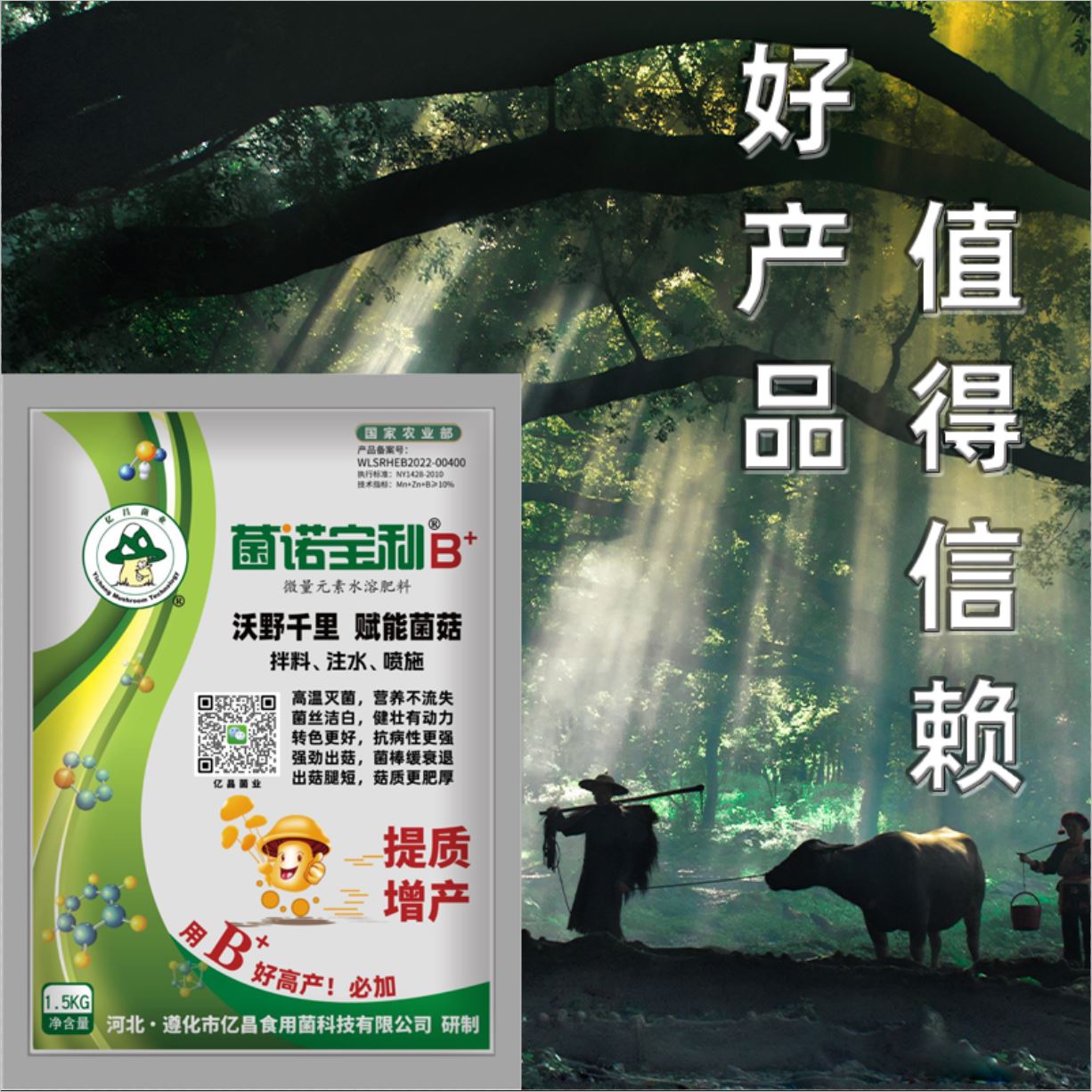 亿昌菌业-菌诺宝利B+（网页-47）好产品值得信赖